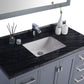 Wilson 48" Grey Bathroom Vanity with Black Wood Marble Countertop