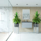 Vitri 30" Fossil Grey Bathroom Vanity with VIVA Stone Matte Black Solid Surface Countertop