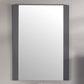 Rushmore 24" Rectangular Grey Mirror