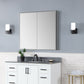 Carsoli Rectangle 36" Frameless Surface-Mount/Recessed LED Lighted Bathroom Medicine Cabinet