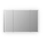 Carsoli Rectangle 48" Frameless Surface-Mount/Recessed LED Lighted Bathroom Medicine Cabinet