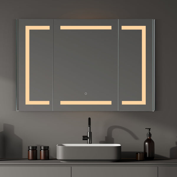 Bojano Rectangle 48 Frameless Surface-Mount/Recessed LED Lighted Bathroom Medicine Cabinet