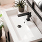 Columbia 31.5" Single Vanity, Ash Gray, Matte Black, w/ White Glossy Composite Stone Top